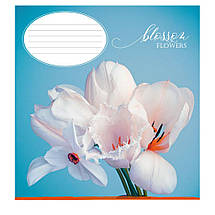 Зошит 36 аркушів клітинка "Поліграфіст" / Квітковий цвіт, фото 4