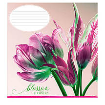 Зошит 36 аркушів клітинка "Поліграфіст" / Квітковий цвіт, фото 5