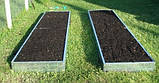 Грядки оцинковані, Грядки металеві., фото 7