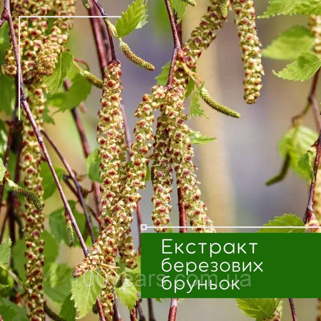 Екстракт березових бруньок 50 мл