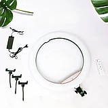 Світлодіодна кільцева RGB лампа MJ56 з пультом кольорове студійне відеосвітло для фото відео блогерів, фото 10