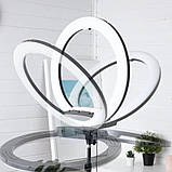 Світлодіодна кільцева RGB лампа MJ56 з пультом кольорове студійне відеосвітло для фото відео блогерів, фото 3