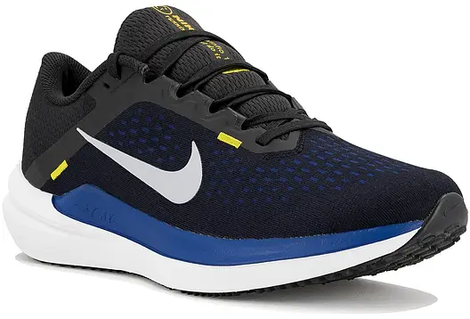 Кросівки Nike AIR WINFLO 10, фото 1