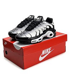 Чоловічі кросівки Nike Air Max Plus TN gray gradient Metallic Silver Найк Аір ТН Плюс сірі з чорним сріблясті демісезонні