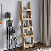 Модуль-4 з полицями LION Лінк Дуб Аппалачі (LION-041384)