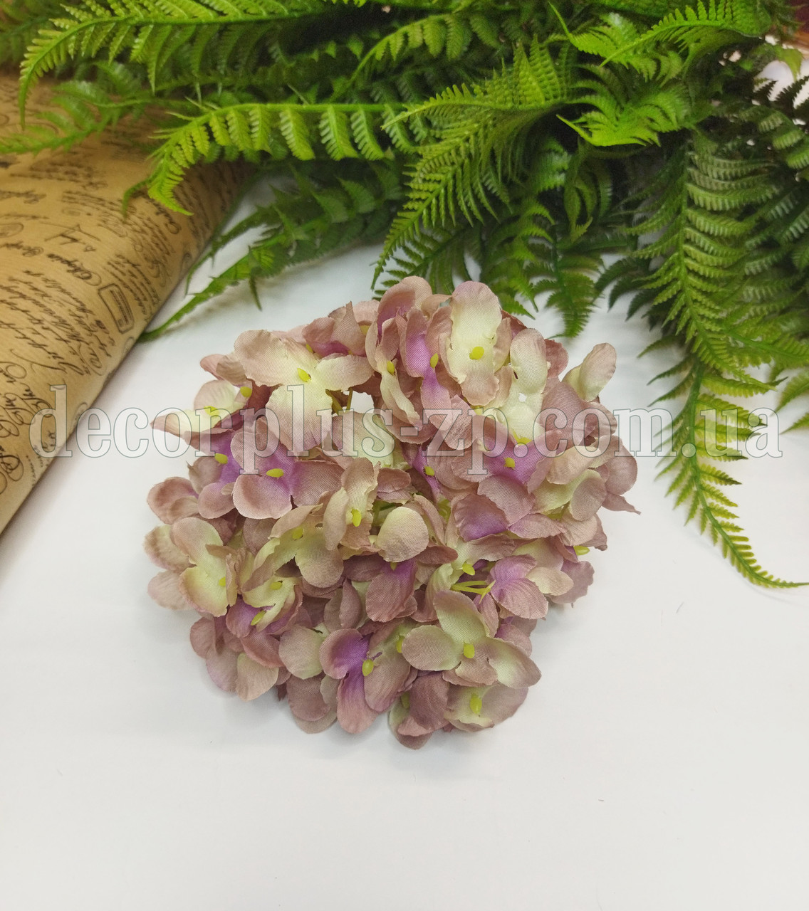 Голова гортензії дрібної . 15см. Триколірна, фото 1