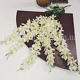 Гліцинія, біла. 60 см. (5 гілок), фото 3