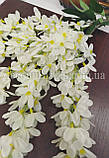Гліцинія, біла. 60 см. (5 гілок), фото 4