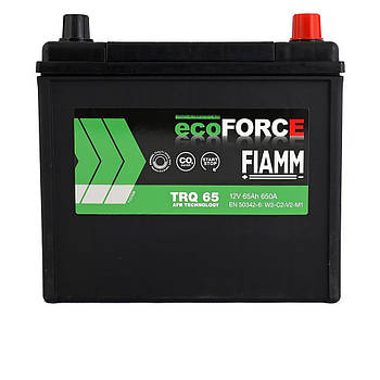 Автомобільний акумулятор FIAMM Ecoforce AFB Asia 12V 65Ah 650A R+ (TRQ65)