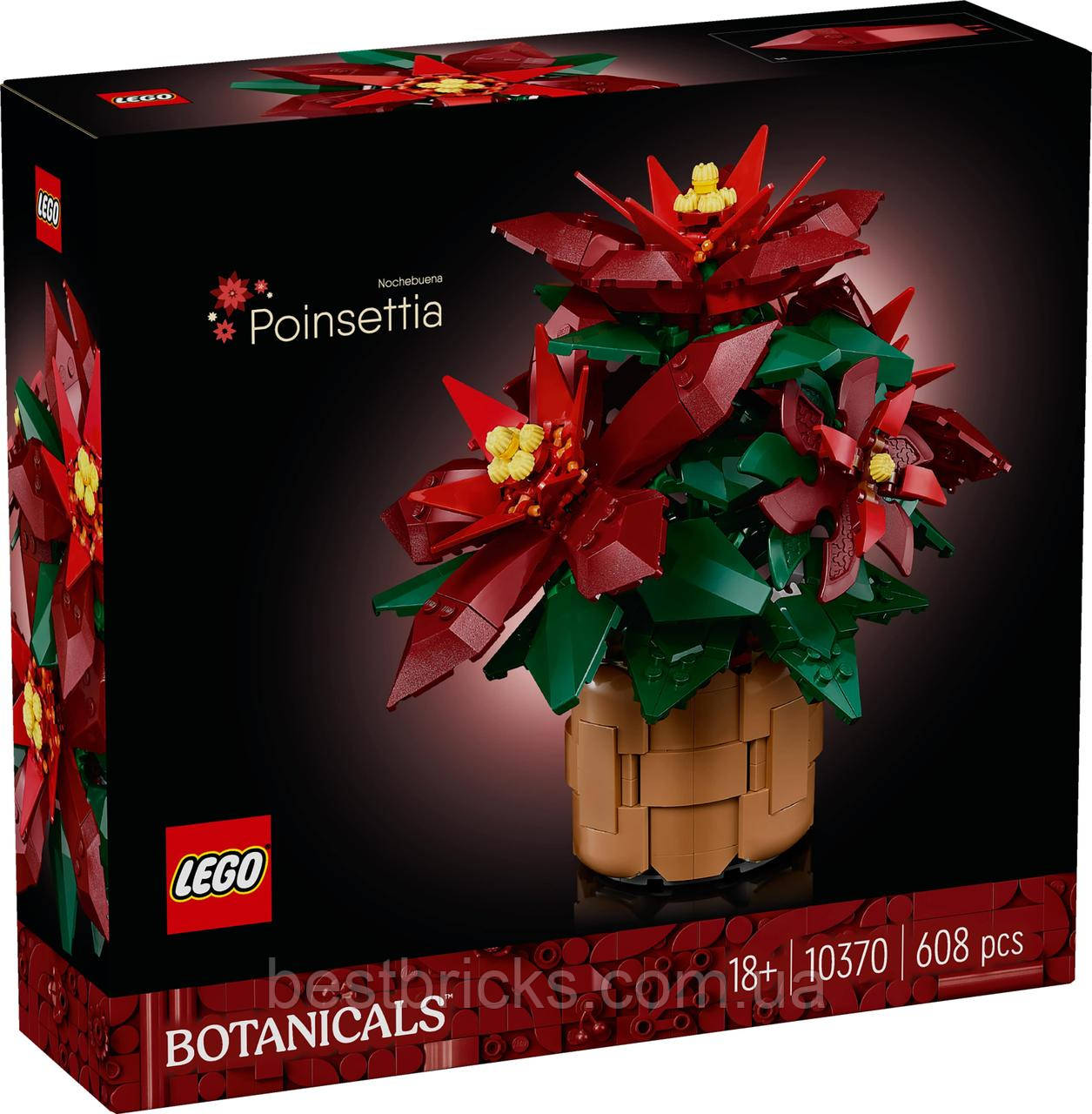 Конструктор Lego Botanicals Молочай-різдвяник 10370