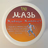 Мазь Живиця - Живокіст, фото 6