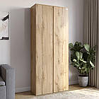 Модуль-3 шафа розпашна дводверна LION Нобу Дуб Аппалачі (LION-042395)