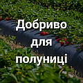 Ключ до гарного врожаю: все про калійне добриво для полуниці
