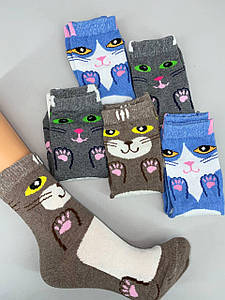 Жіночі демісезонні шкарпетки "Котик" 36-40 взуття 12пар/уп