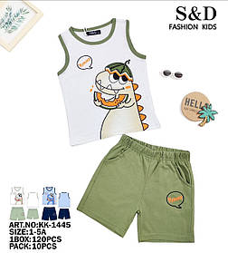 Набір-двійка для хлопчиків оптом, S&D, 1-5 рр., арт. KK-1445
