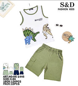 Набір-двійка для хлопчиків оптом, S&D, 3/4-7/8 рр., арт. KK-1446