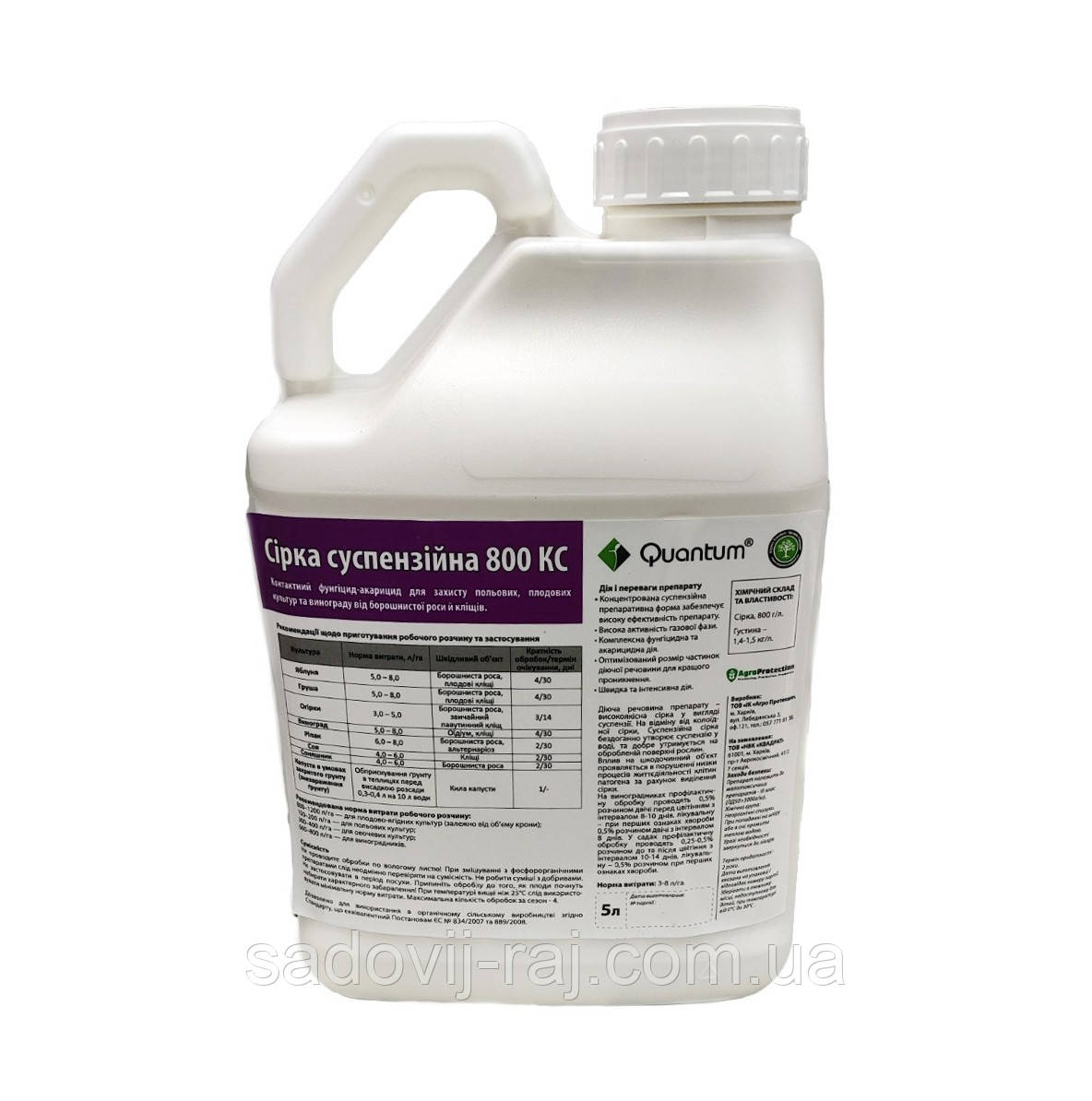 Краснодар көзілдірігін сорып алады