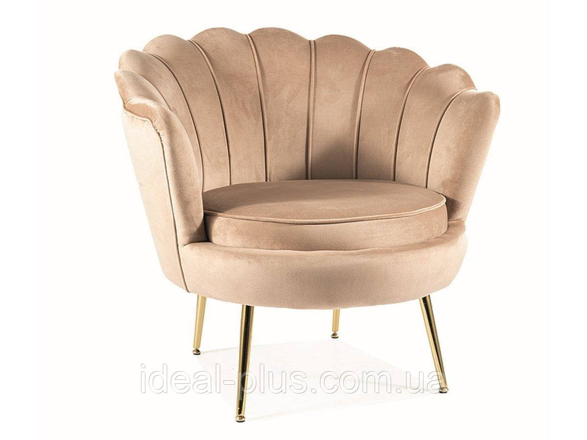 Крісло CAMELLIA 1 VELVET беж/золото BL.28