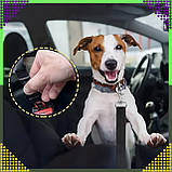 Регульований пас безпеки для собаки/кота до автомобіля від 45 до 72 см, фото 8