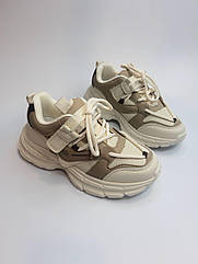 Кросівки для дівчинки Clibee 396-2 beige беж р.32-37