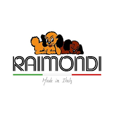 ЕЛЕКТРИЧНИЙ ІНСТРУМЕНТ RAIMONDI (Італія)