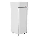 Шафа морозильна на двоє дверей 1284 л, фото 5