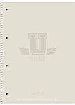 Коледж-блок, на спiраль, А4/80арк., у клітинку, білий блок, 70г/м2, картон, мат. ламінація, Student, фото 2