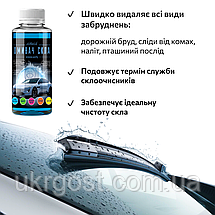 Омивач скла Фазеліс Морський бриз 🌊 Літо (концентрат 1:66) 100 мл, фото 4