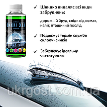 Омивач скла Фазеліс Яблуко 🍏 Літо (концентрат 1:66) 100 мл, фото 4