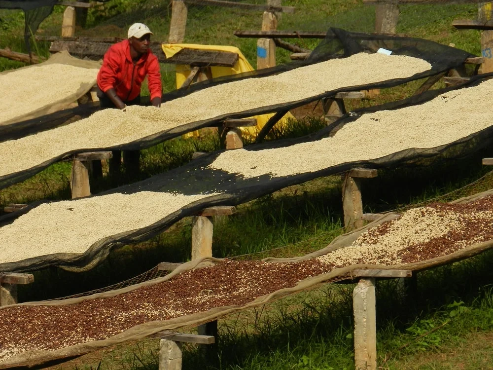 Станція Gakenke Бурунді