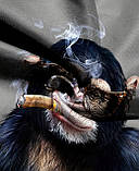 Футболка чоловіча з 3Д друкованим малюнком мавпи, фото 4