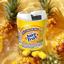Жувальна гумка Juicy Fruit Gum Sugar Free Chewing Gum Fruity Chews 40 шт.