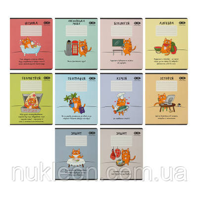 Популярний! Зошит ZiBi набір учнівських CUTE CAT 36 аркушів 10 штук, 8 предметів (ZB.1731-99) - Краща якість тільки на