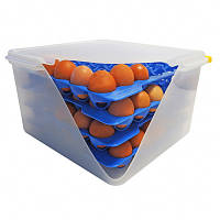 Контейнеры для яиц