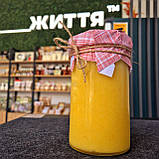 Сироп для чищення судин, 550 мл, фото 2