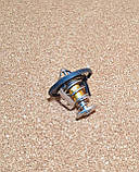 Термостат M2 BS4, Бриллианс М2, Брілліанс М2, фото 2