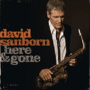 Sanborn David – Here & Gone (CD Audio)