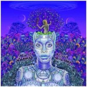 Erykah Badu – New Amerykah Part II (Return Of The Ankh) (CD Audio)