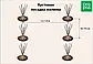 Саджанці ремонтантної малини Доломія Плюс - великоплідна, солодка, урожайна, фото 5