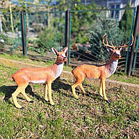 Комплект садових фігур Олень і Олениха, садові фігури з полістоуну, садово-паркові фігурки і скульптури