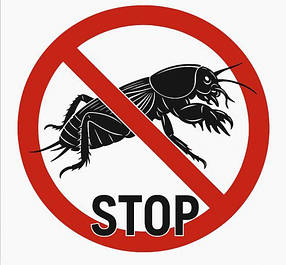 Засоби від капустянки