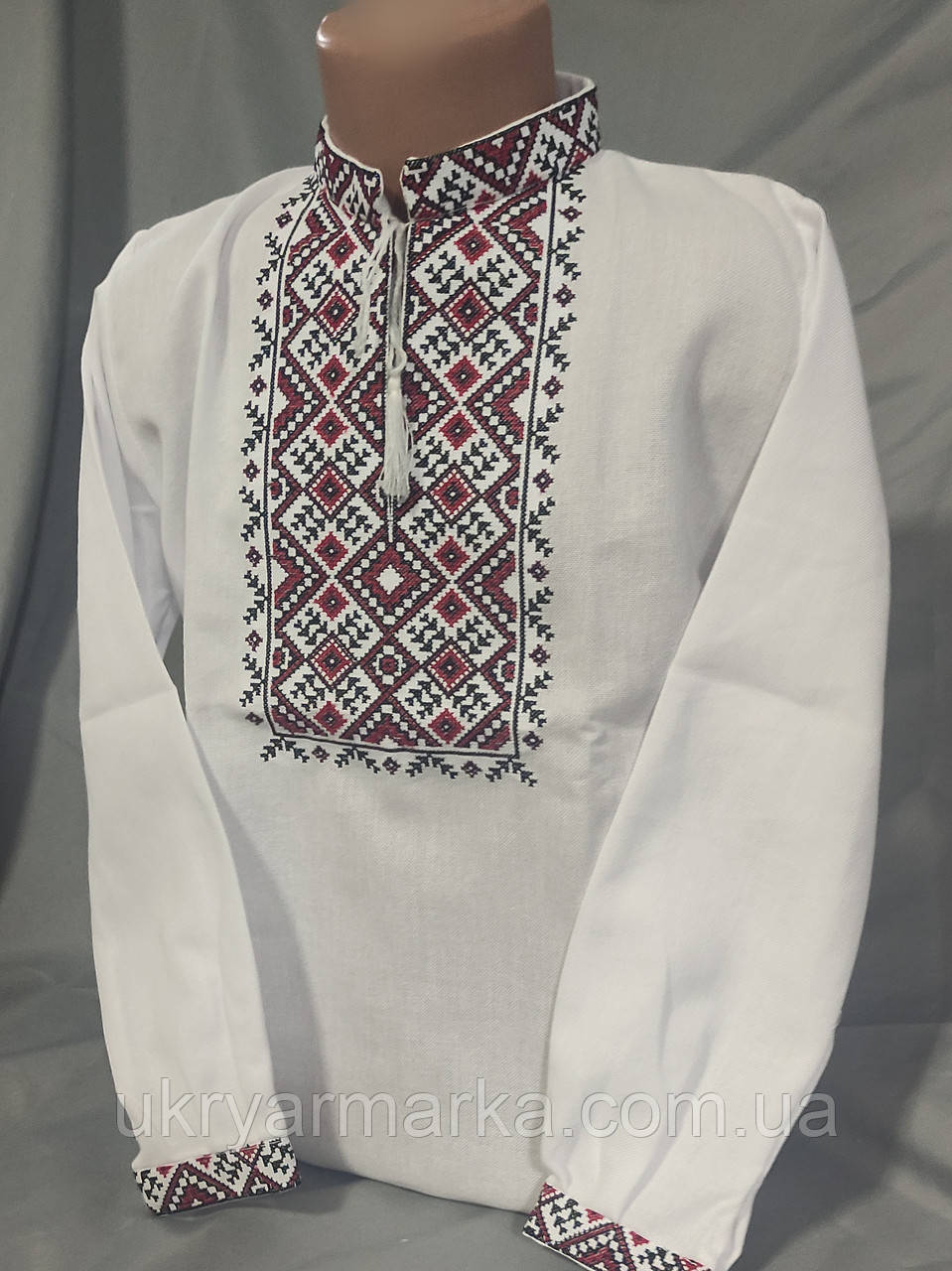 Вишита сорочка для хлопчика  "Розумник"
