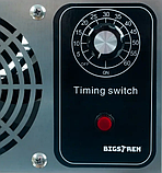 Озонатор повітря, генератор озону Bigstren 21208 20000 мг/год, фото 10