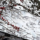 Чохол для Starlink (Старлінк) "Луска" (Winter) GEN 2, фото 2