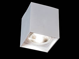 Накладний світлодіодний точковий світильник 50W DB-SS225-COB-50W-W