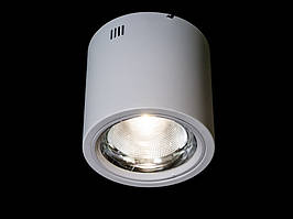 Накладний світлодіодний точковий світильник 30W DB-SR225-COB-30W-W