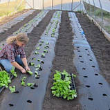 Агроволокно 50 г/м², 1.07×100 м чорне з перфорацією 2 отвори, фото 3