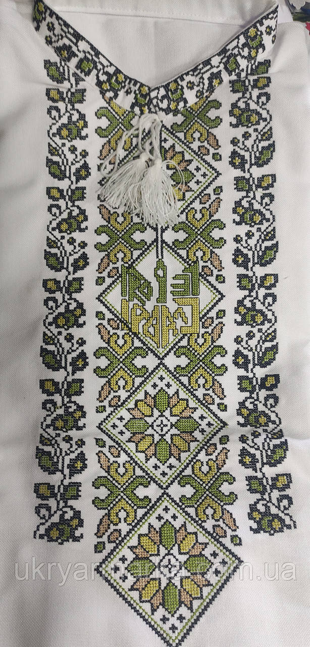 Сучасна сорочка вишиванка для чоловіків  "Зелен сад"