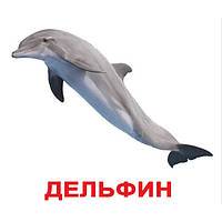 Карточки Домана на русском "Обитатели воды" ламинация