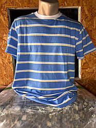 Футболка чоловіча блакитна в смужку